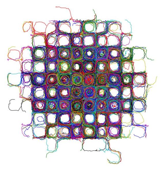 stocastic paths by Jochen Voss